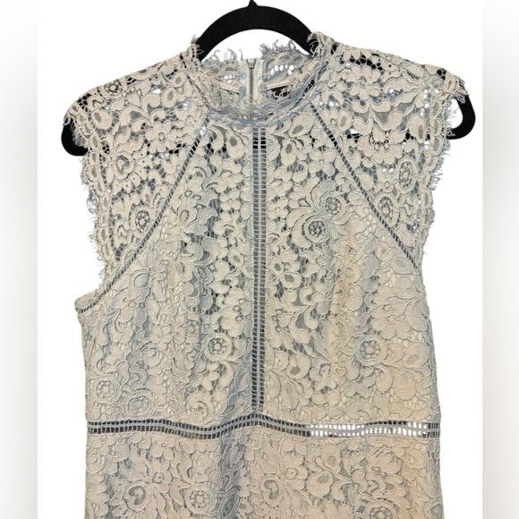 Bardot Light Blue Lace Panel Knee Length Dress High Neck Sleeveless Size 8/M - Picture 4 of 7